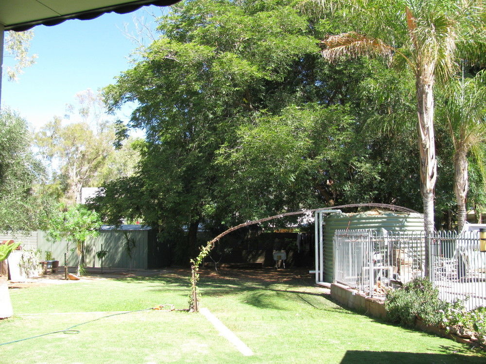 Kathys Place Bed And Breakfast Alice Springs Kültér fotó